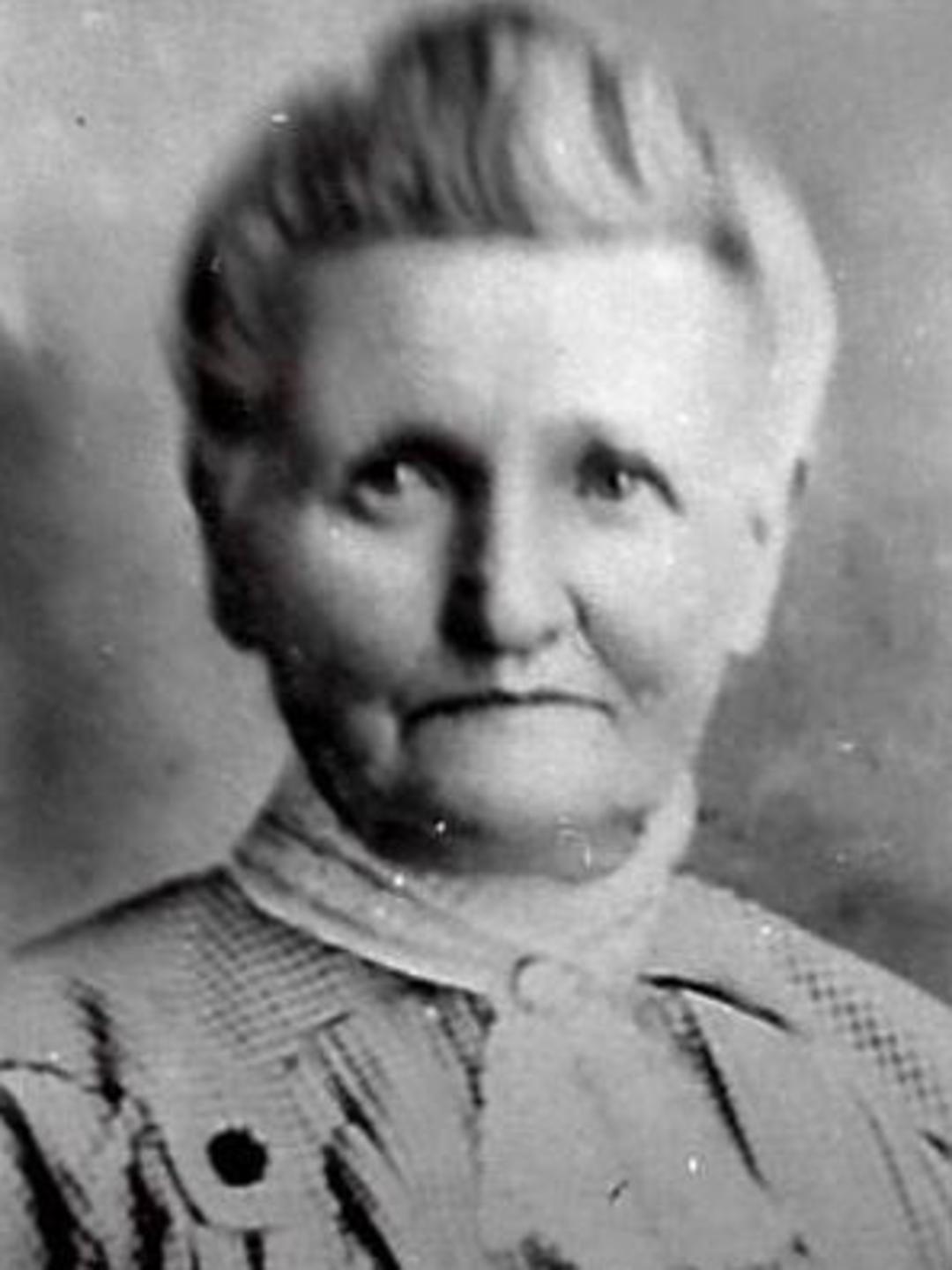 Sarah West (1843 - 1928) Profile